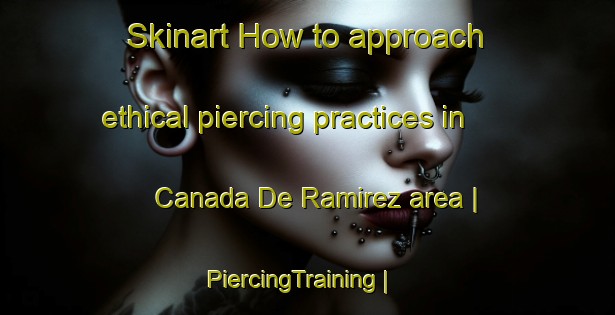 Skinart How to approach ethical piercing practices in Canada De Ramirez area | PiercingTraining | PiercingClasses | SkinartTraining-Mexico